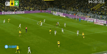 yquo, 我们现在应 yquo, 我们现在应